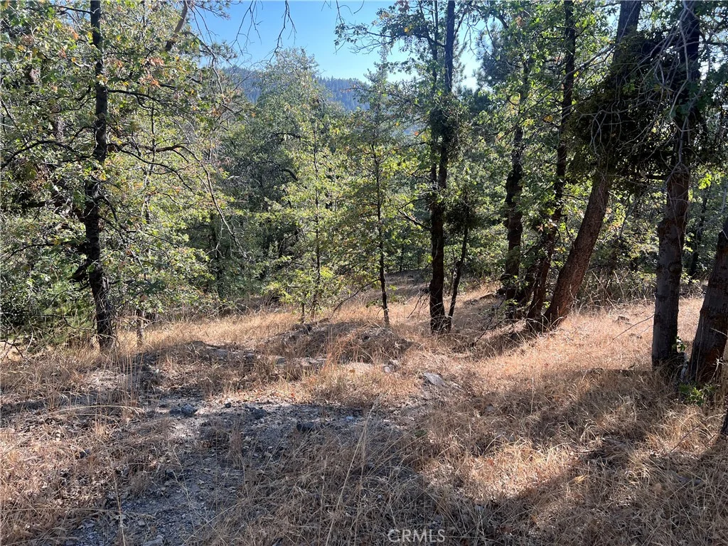 Lone Pine Dr., Arrowbear, CA 92382 photo 5