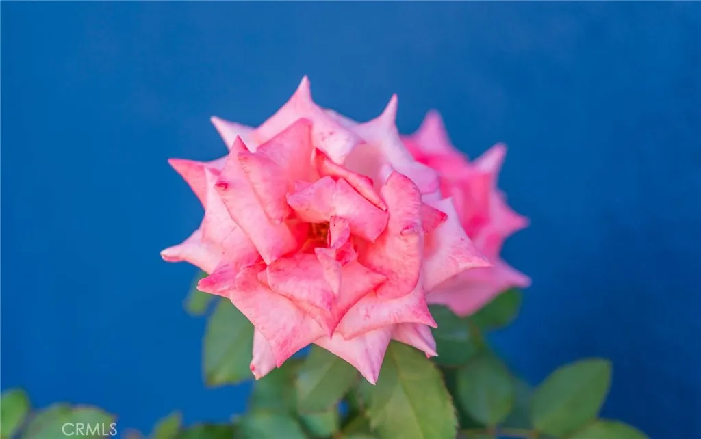 Additional image 36 of 2506 N Lisa Pl, Orange, CA 92865