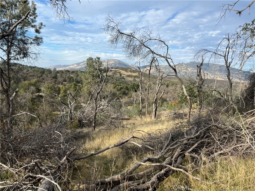 Property image for 4934 Guadalupe Fire, Catheys Valley, CA 95306