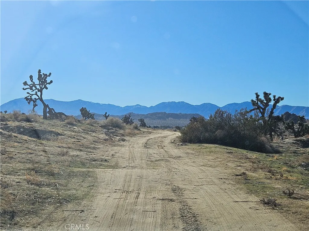 Additional image 50 of Vic Ave L2 152 Ste, Lancaster, CA 93535