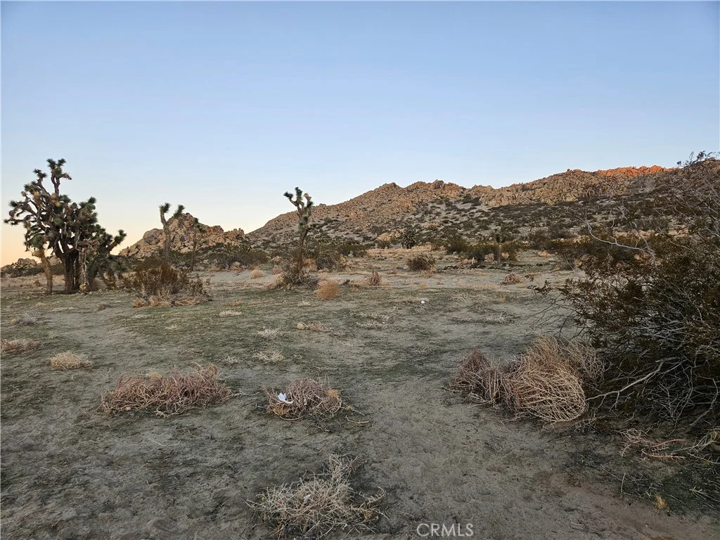 Additional image 9 of Vic Ave L2 152 Ste, Lancaster, CA 93535
