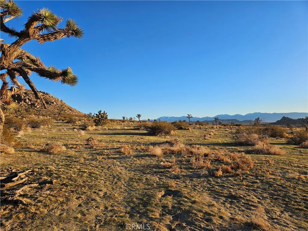 Additional image 48 of Vic Ave L2 152 Ste, Lancaster, CA 93535