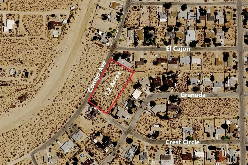 Conejo, Joshua Tree, CA 92252 photo 2