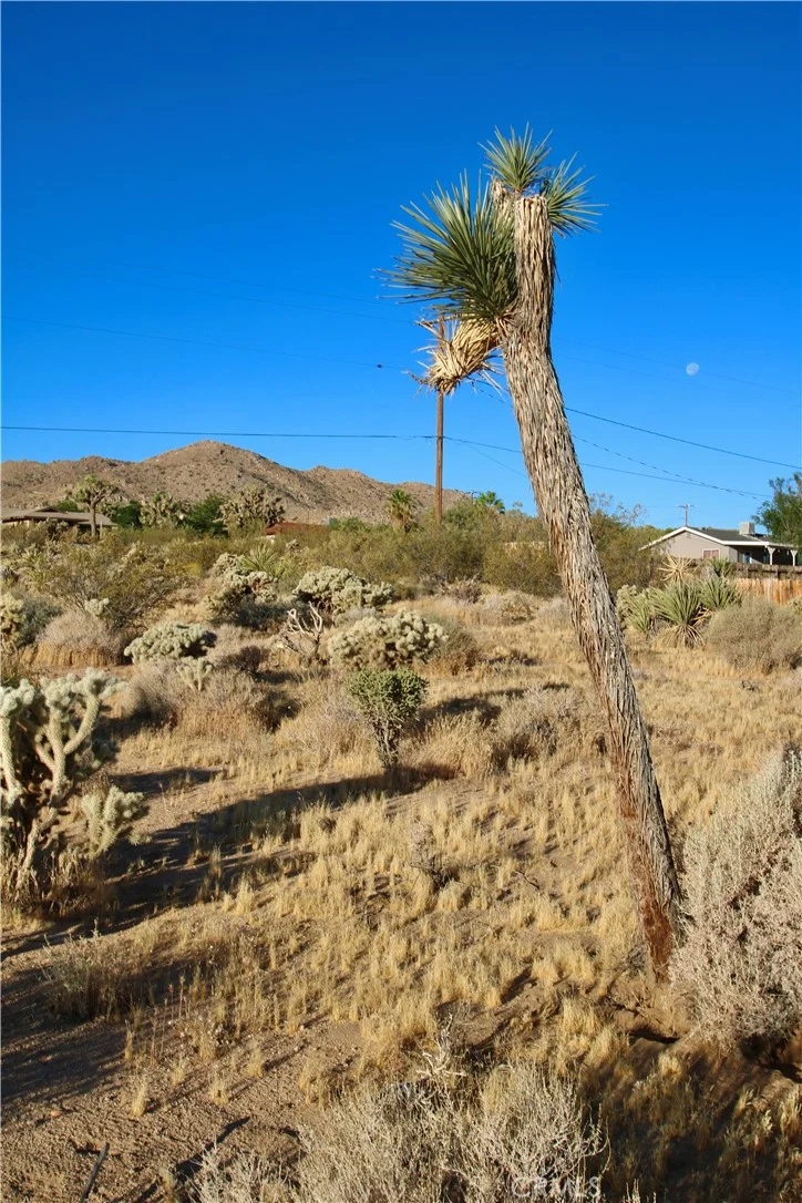 60255 Natoma Trail, Joshua Tree, CA 92252