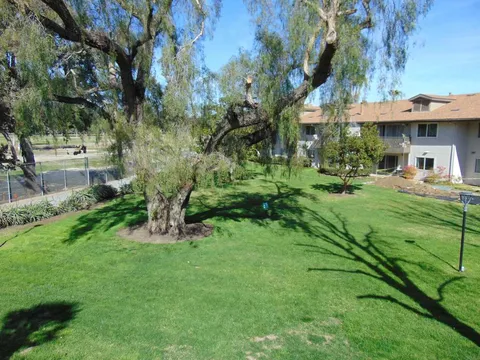 4095 Bonita Road Unit 229, Bonita, CA MLS: PTP2501456