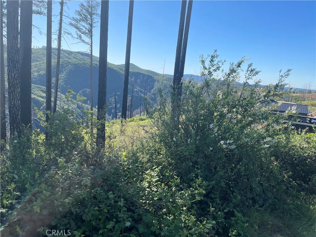 Additional image 15 of 1954 Dean Rd, Paradise, CA 95969