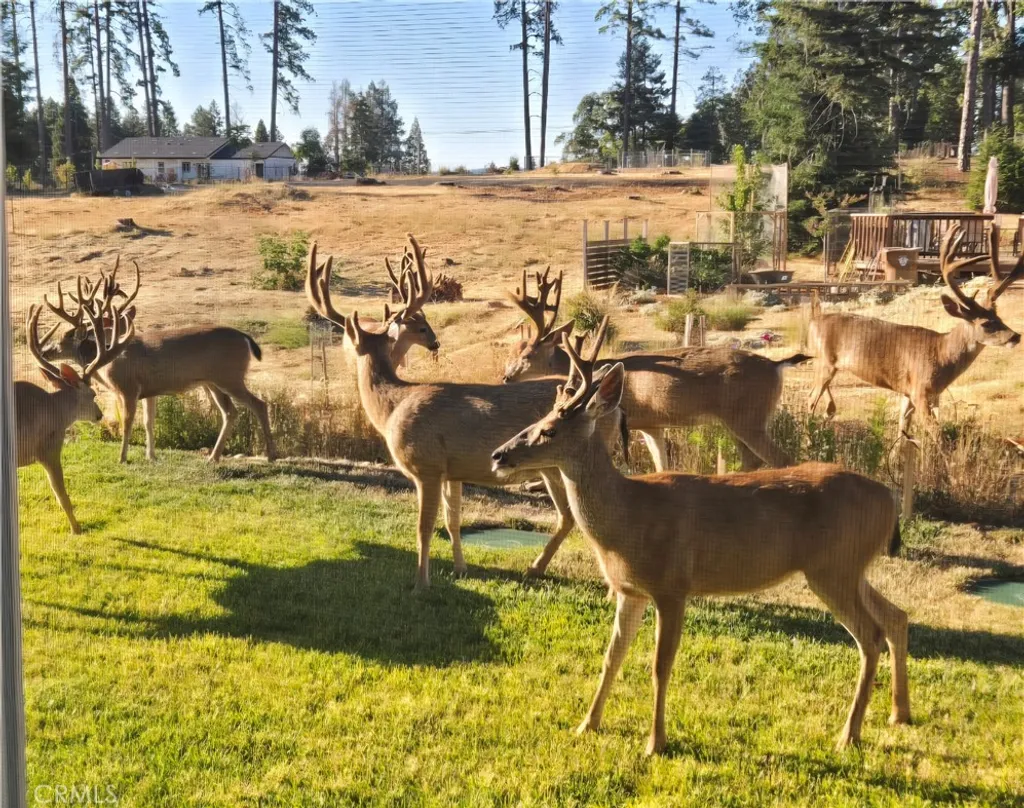 Additional image 35 of 611 Sunset Dr, Paradise, CA 95969