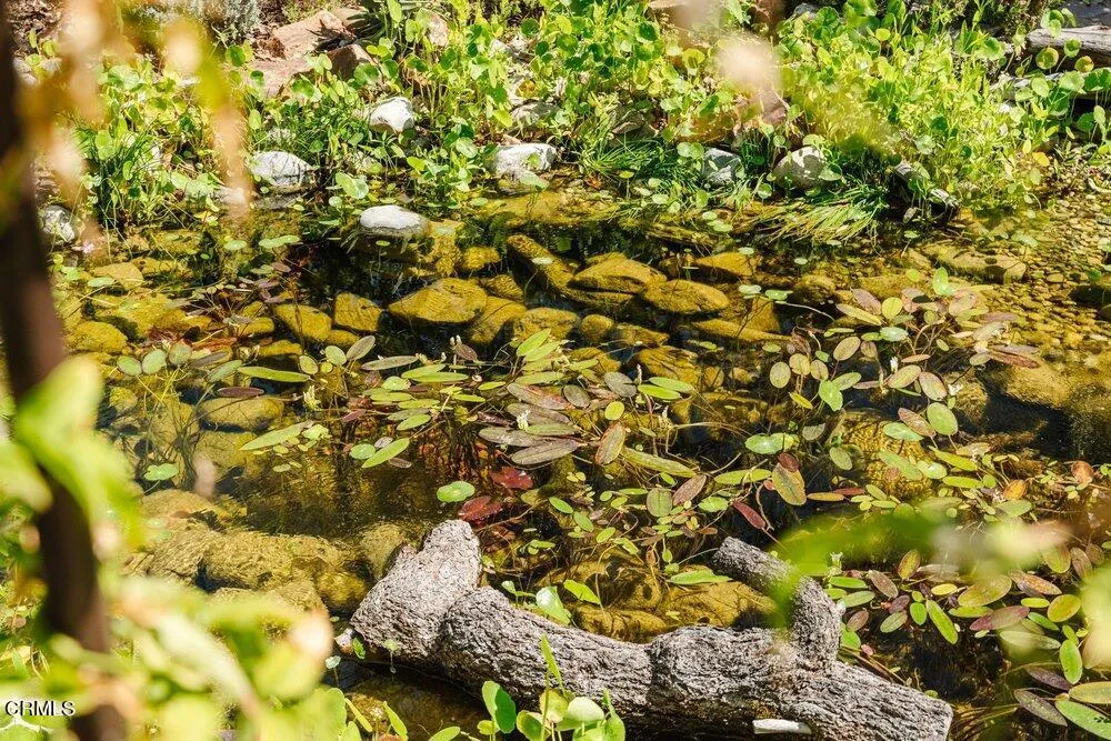 Additional image 84 of 1300 Meadowbrook Road, Altadena, CA 91001