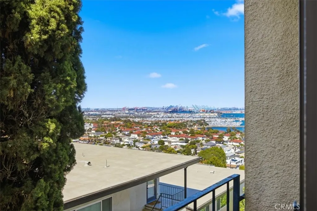 Additional image 71 of 3432 S Peck Ave, San Pedro, CA 90731