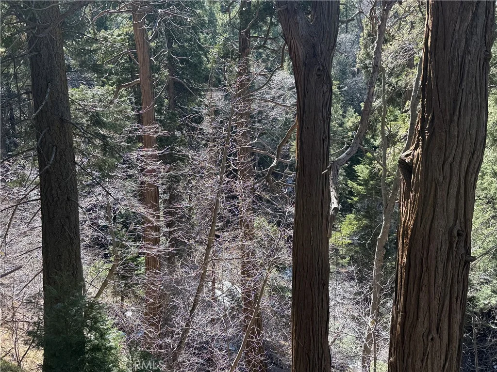 Sunderland Court, Lake Arrowhead, CA 92352