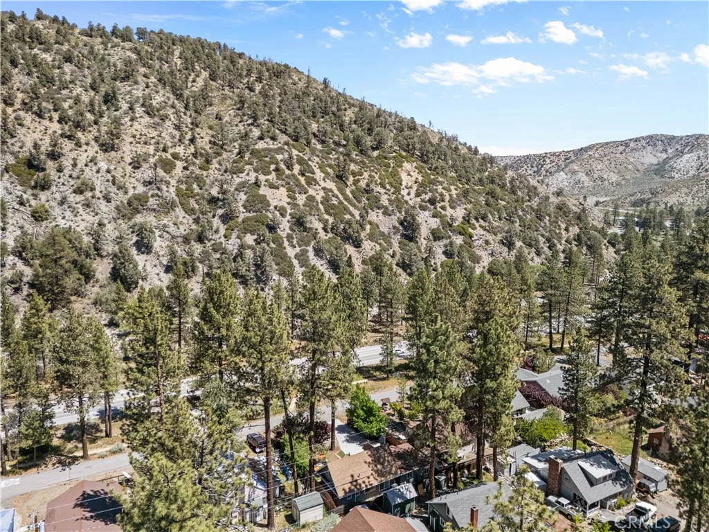 1902 Virginia, Wrightwood, CA 92397