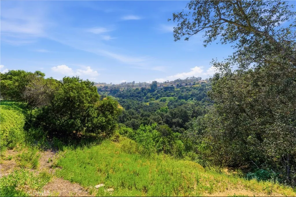 6560 E Circulo Dali, Anaheim Hills, CA 92807