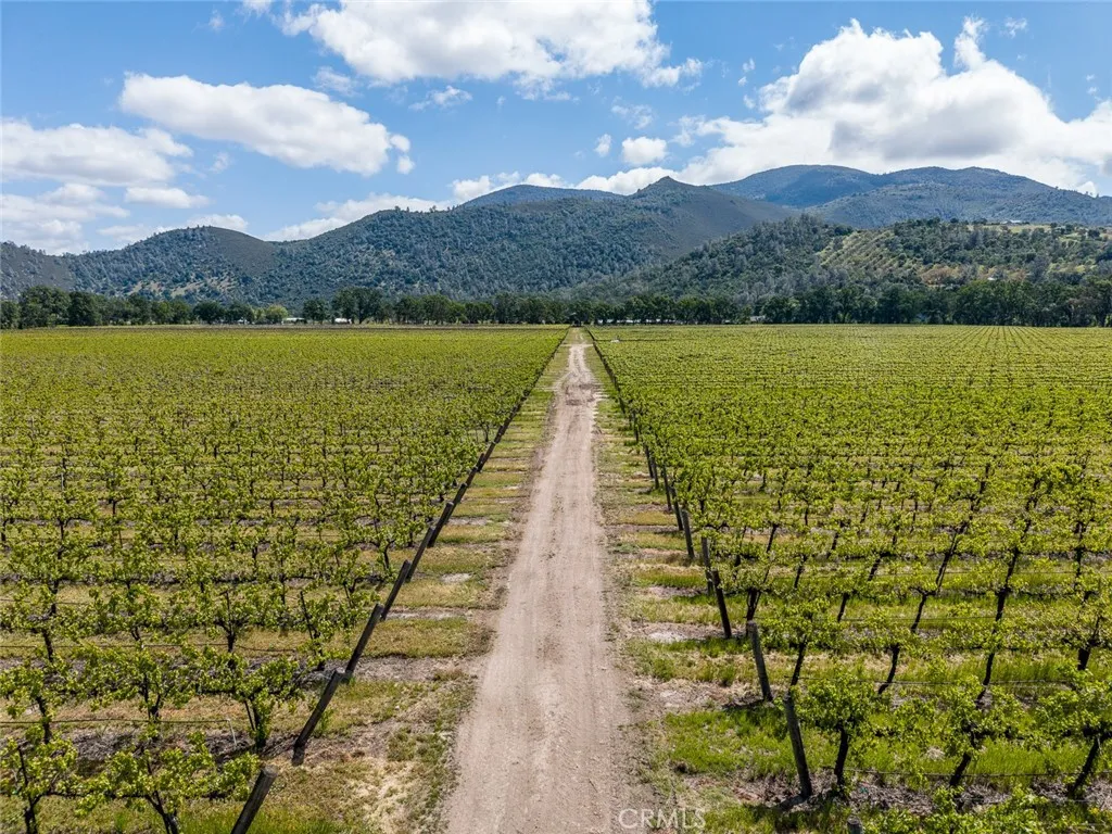 Additional image 40 of 4500 Clark Dr, Kelseyville, CA 95451