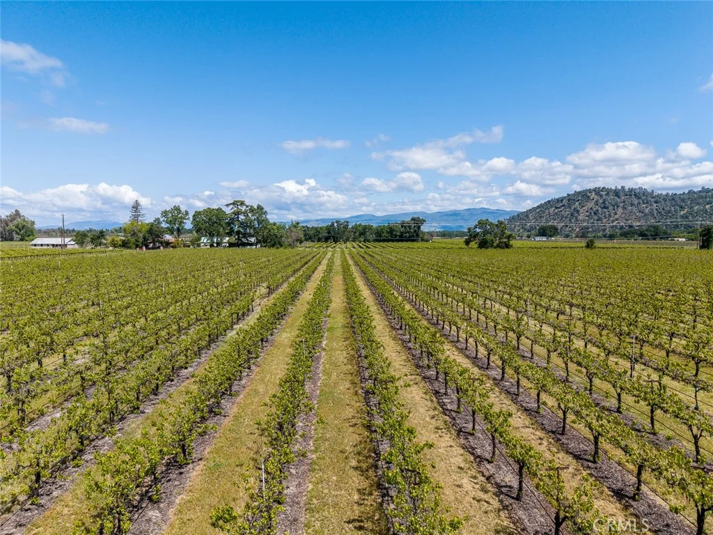 Additional image 15 of 4500 Clark Dr, Kelseyville, CA 95451