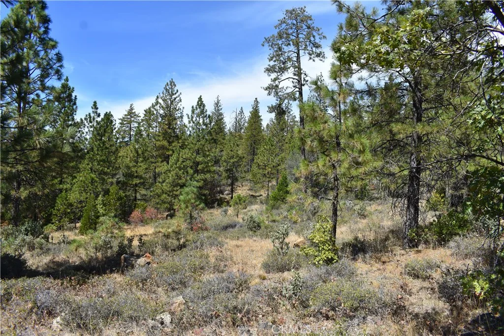 155 Black Tail Road, Oroville, CA 95966