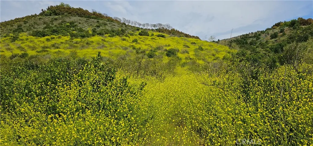 Additional image 12 of 46700 El Prado Road, Temecula, CA 92590