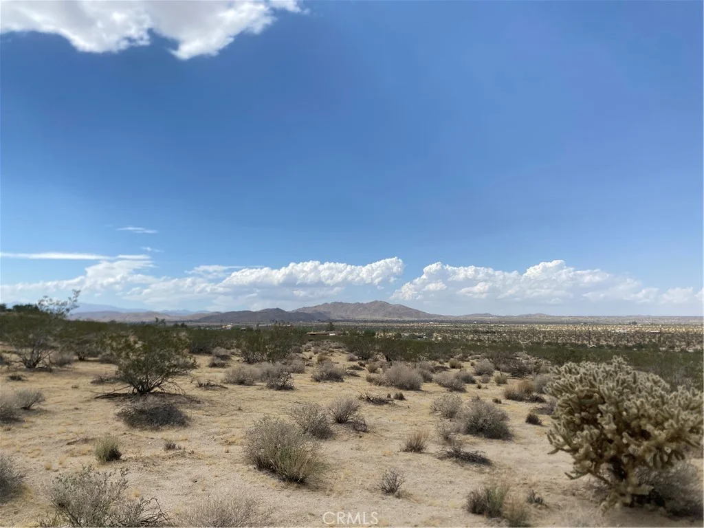 123 California Avenue, Joshua Tree, CA 92252