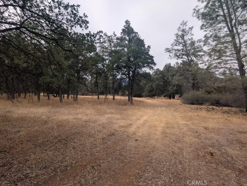 1962 Fouts Springs Road, Stonyford, CA 95979