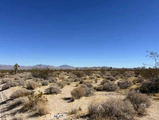 Visalia, Lucerne Valley, CA 92356