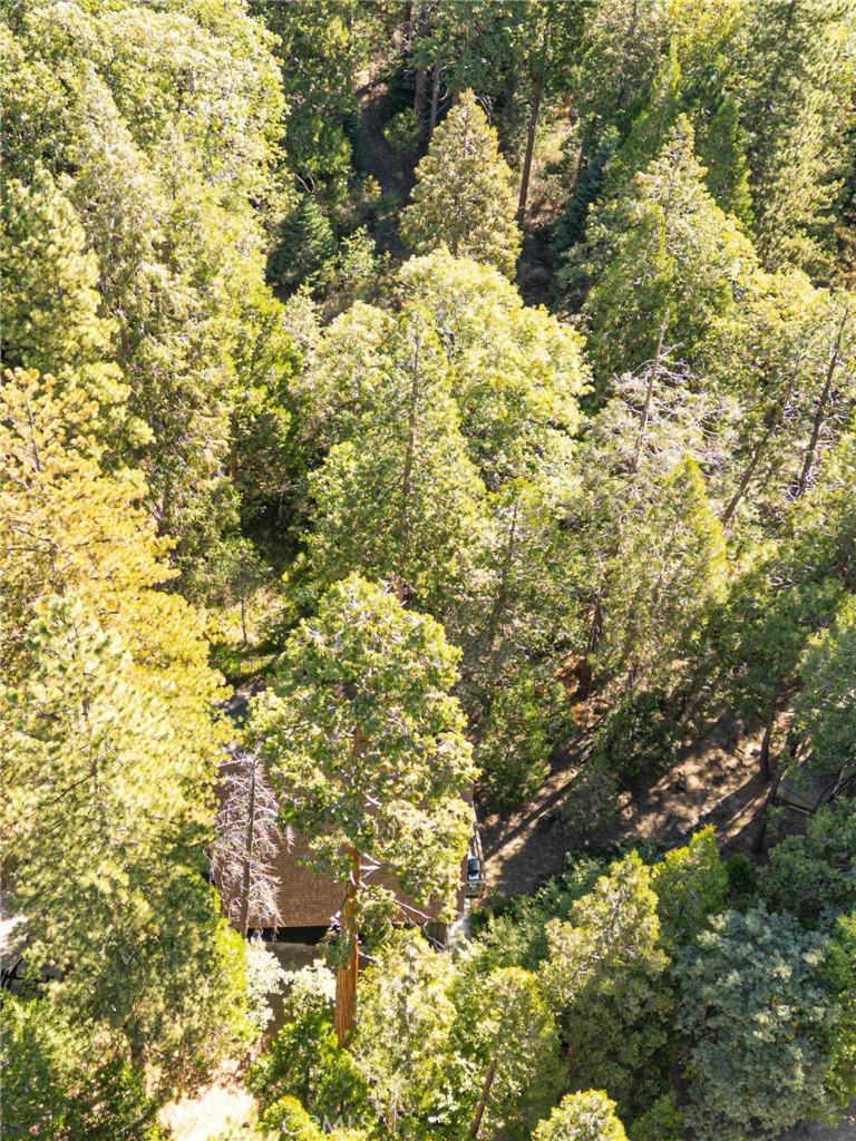 385 Birchwood Dr, Lake Arrowhead, CA 92352