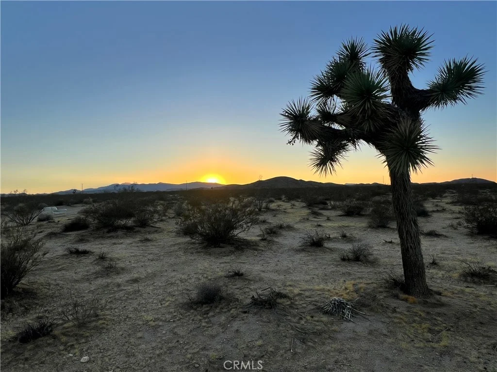 1010 Celeste Road, Joshua Tree, CA 92252