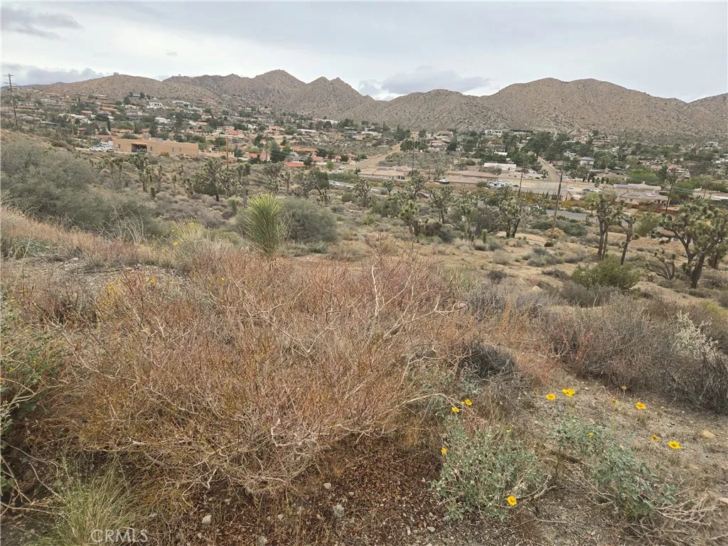 Property image for 1234 Onaga Trail, Yucca Valley, CA 92284