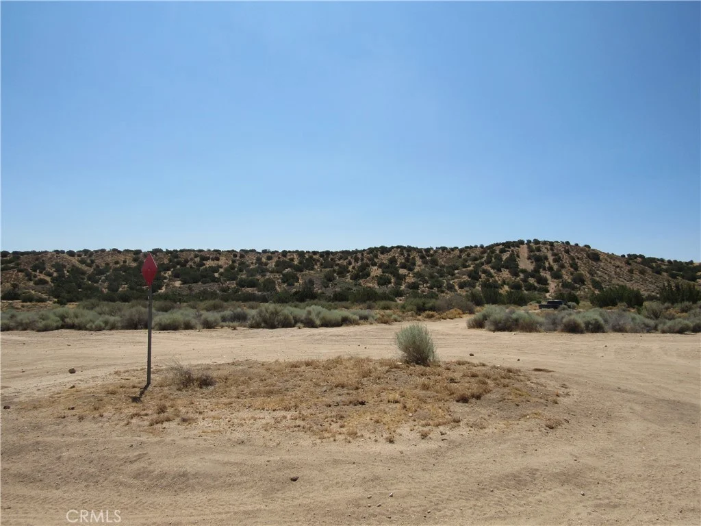Middleton Ave, Hesperia, CA 92345 photo 5