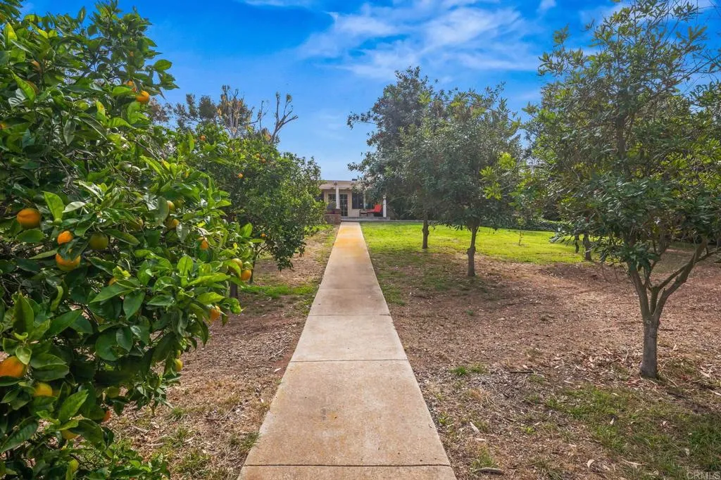 Additional image 114 of 1646 Tierra Libertia Road, Escondido, CA 92026