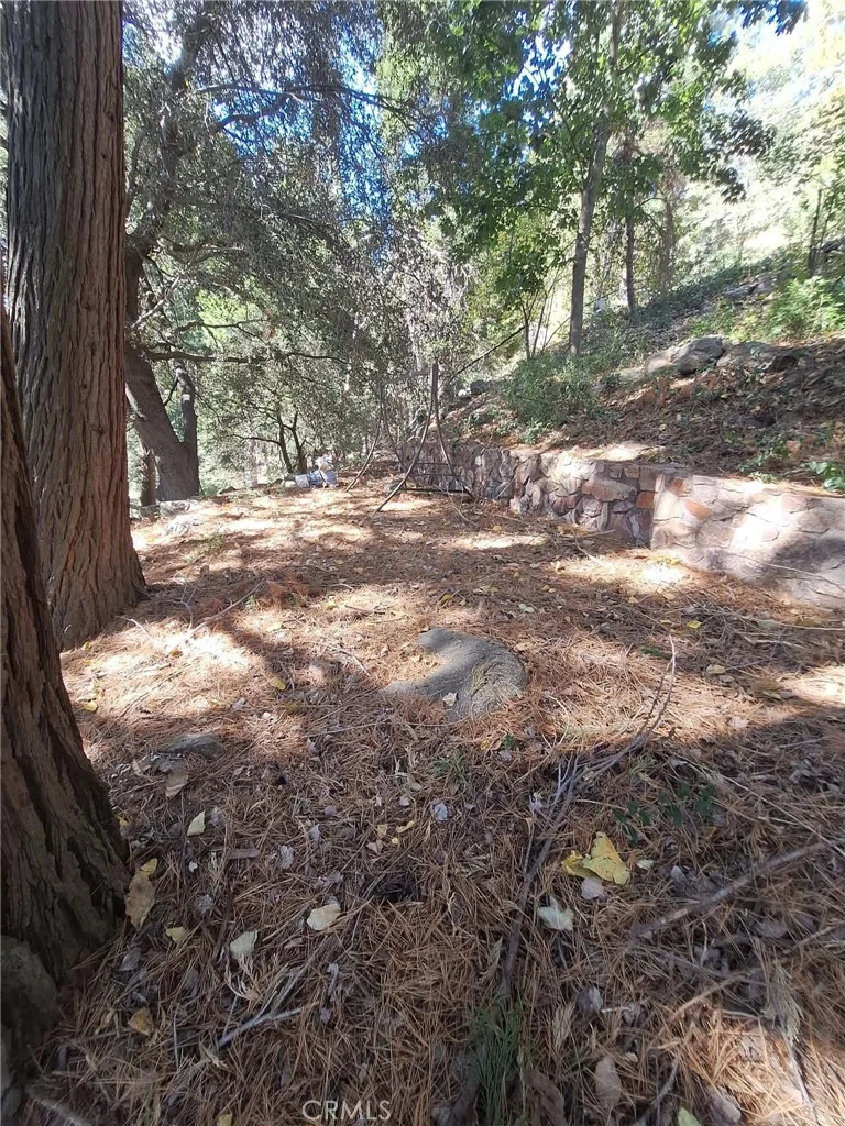 21515 Sawpit Canyon Rd, Cedarpines Park, CA 92322