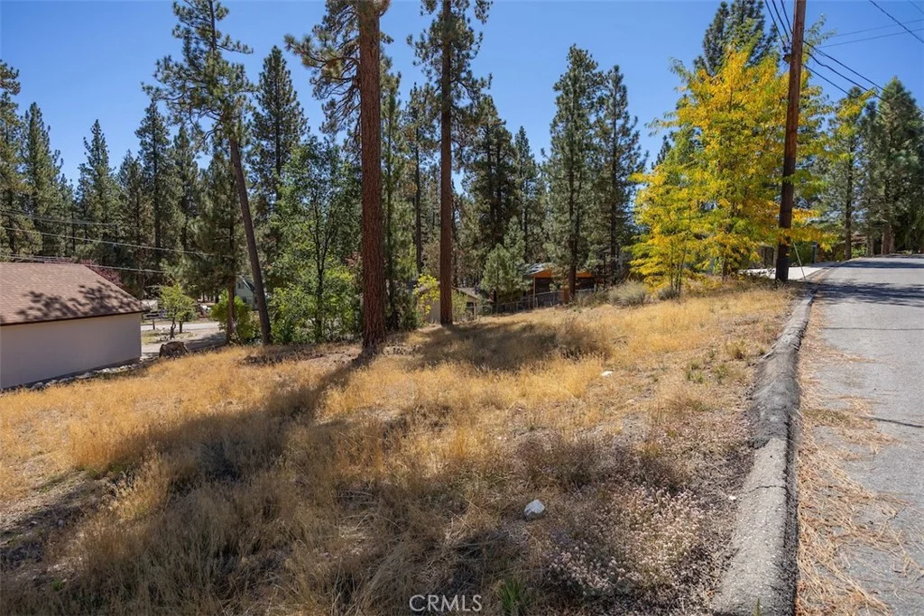 Fawnskin Drive, Fawnskin, CA 92333