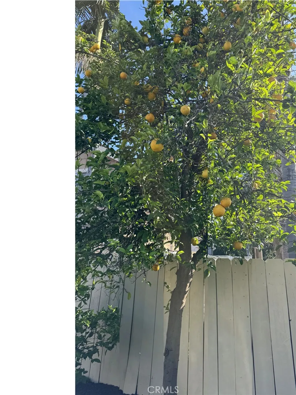 Additional image 42 of 13679 Iroquois, Tustin, CA 92782