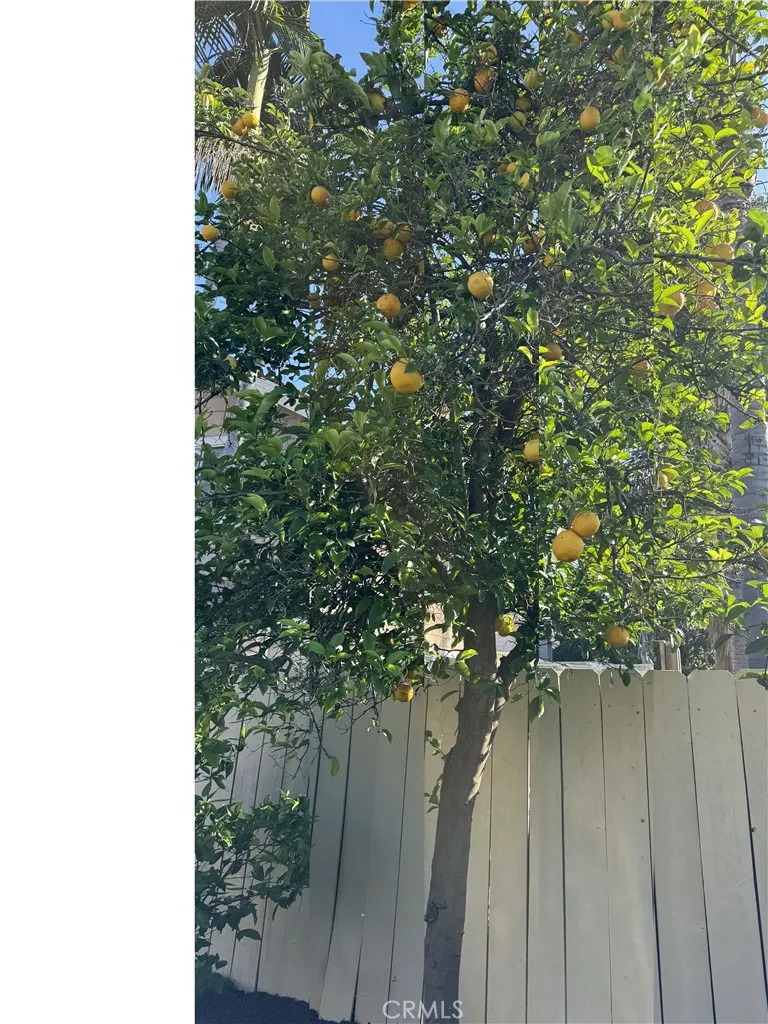 Additional image 86 of 13679 Iroquois, Tustin, CA 92782