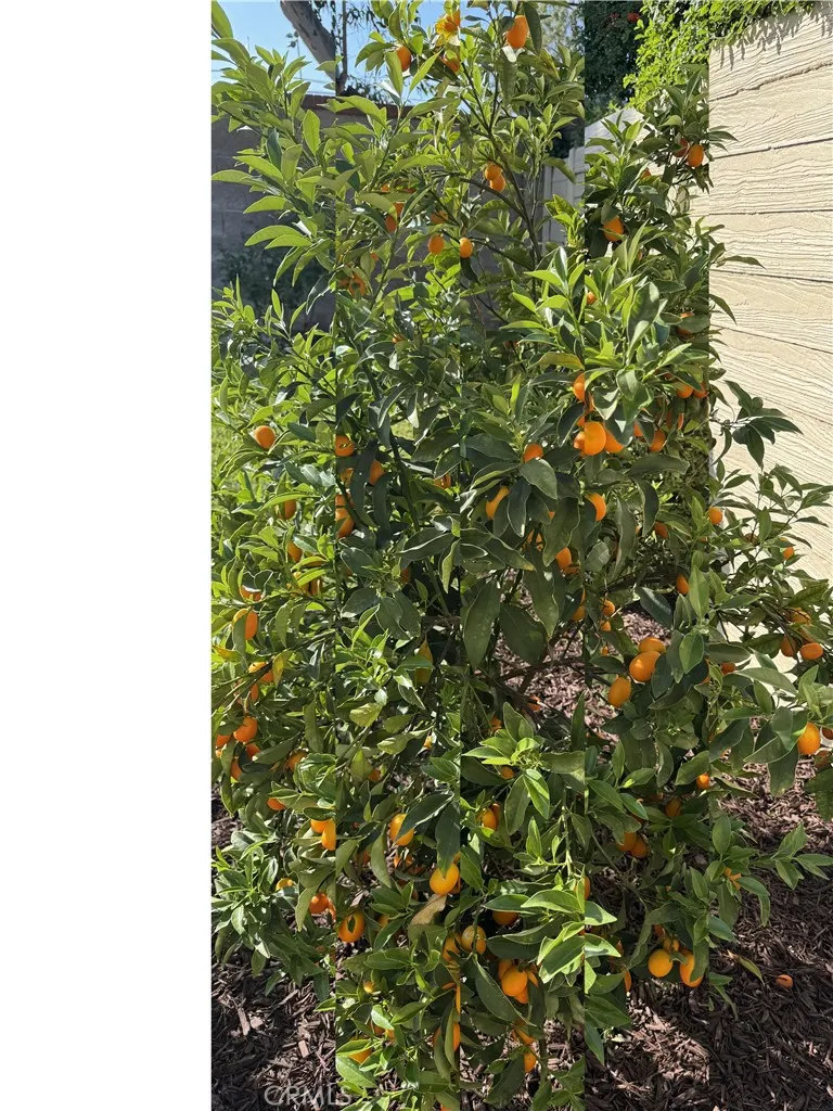 Additional image 85 of 13679 Iroquois, Tustin, CA 92782