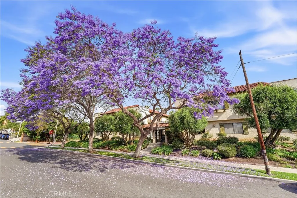 Additional image 47 of 800 Termino Avenue Unit 5, Long Beach, CA 90804