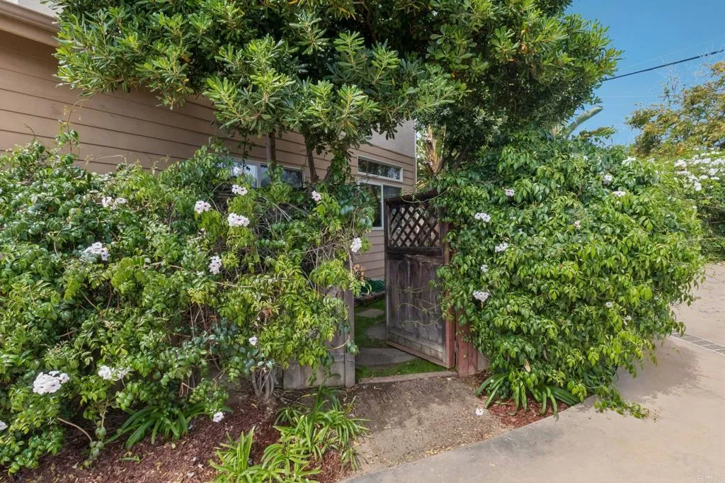 Additional image 69 of 143 Jupiter St, Encinitas, CA 92024