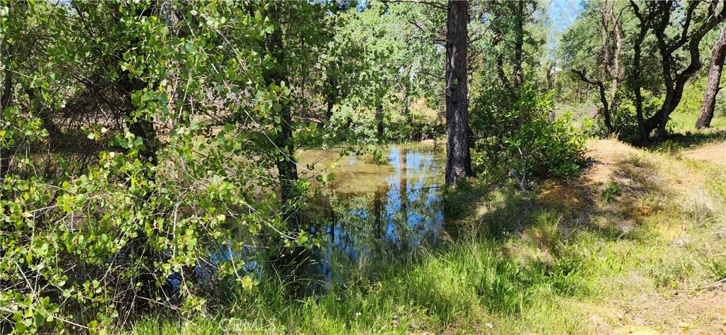 Additional image 35 of 89 Crystal Pines Rd, Oroville, CA 95965