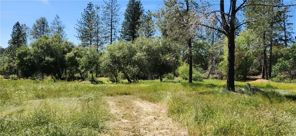 Additional image 77 of 89 Crystal Pines Rd, Oroville, CA 95965
