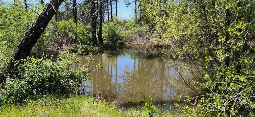 Additional image 79 of 89 Crystal Pines Rd, Oroville, CA 95965