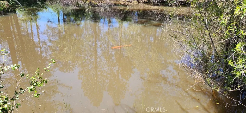 Additional image 39 of 89 Crystal Pines Rd, Oroville, CA 95965