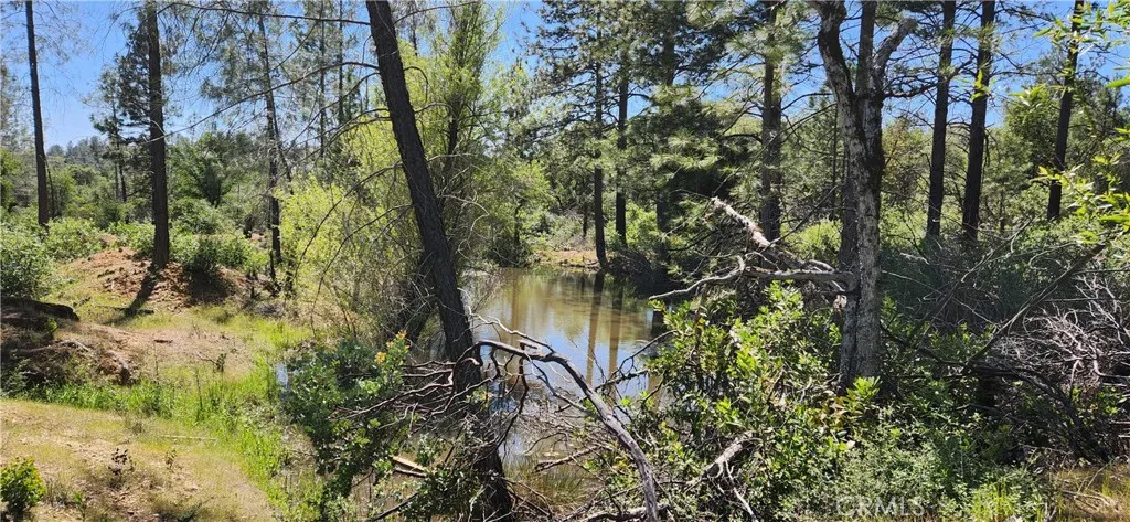 Additional image 81 of 89 Crystal Pines Rd, Oroville, CA 95965