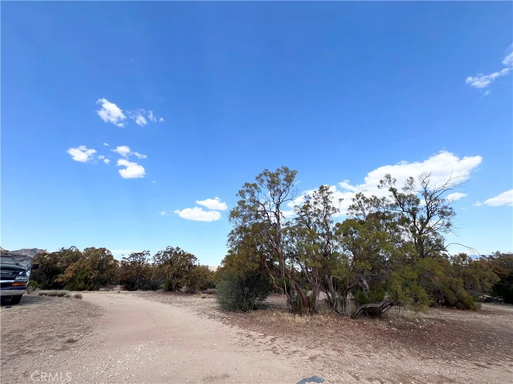45080 Terwilliger Road, Anza, CA 92539 photo 5