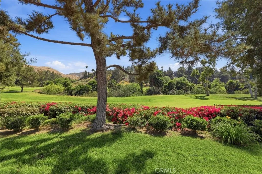 Additional image 114 of 702 Via Zapata, Riverside, CA 92507