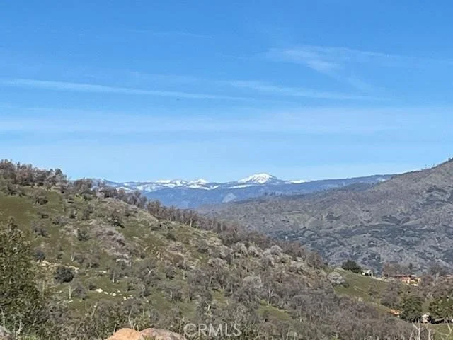 Cardinal, Squaw Valley, CA 93675