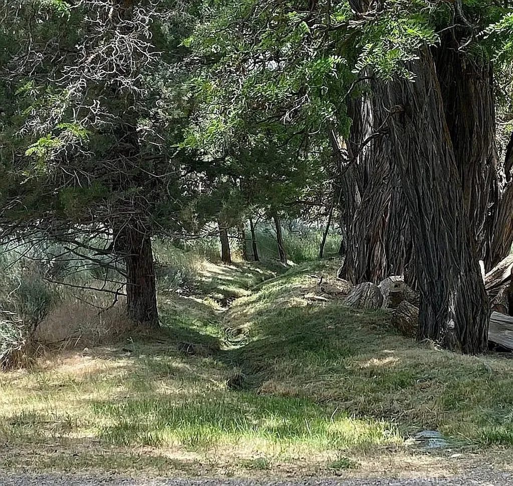 Additional image 9 of 42528 County Road 1, Unincorporated, CA 96115
