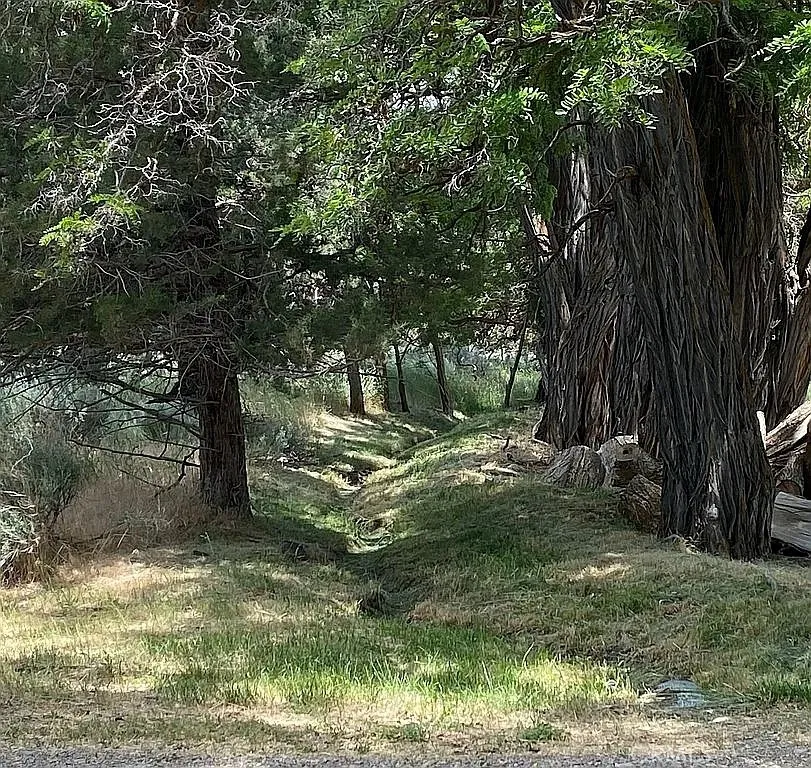 Additional image 28 of 42528 County Road 1, Unincorporated, CA 96115