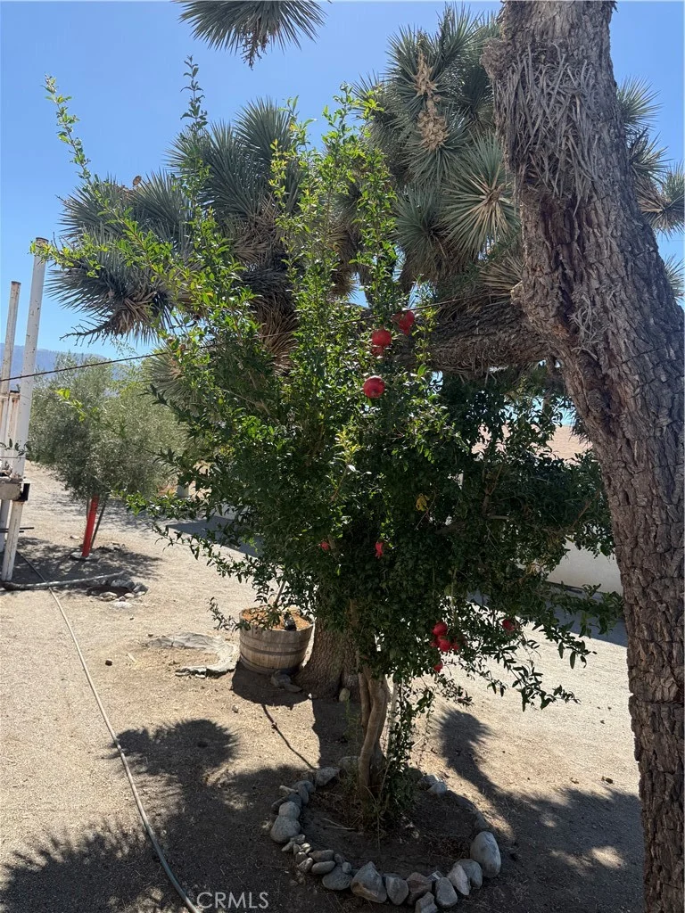 3123 Del Rosa Rd, Phelan, CA 92371