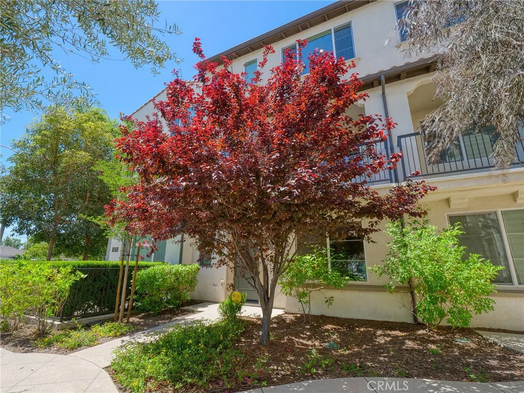 Additional image 84 of 3375 Lynd Avenue, Arcadia, CA 91006