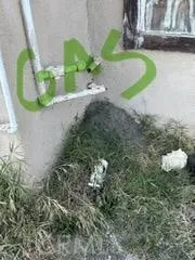 Additional image 38 of 1003 W Rialto Avenue, San Bernardino, CA 92410