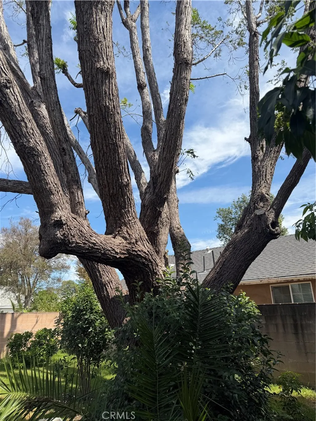 Additional image 4 of 7232 Zelzah Ave, Reseda, CA 91335