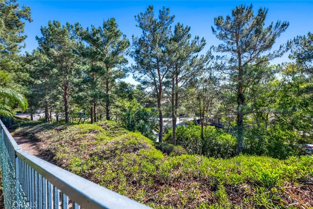 24 Rodeo, Lake Forest, CA 92610